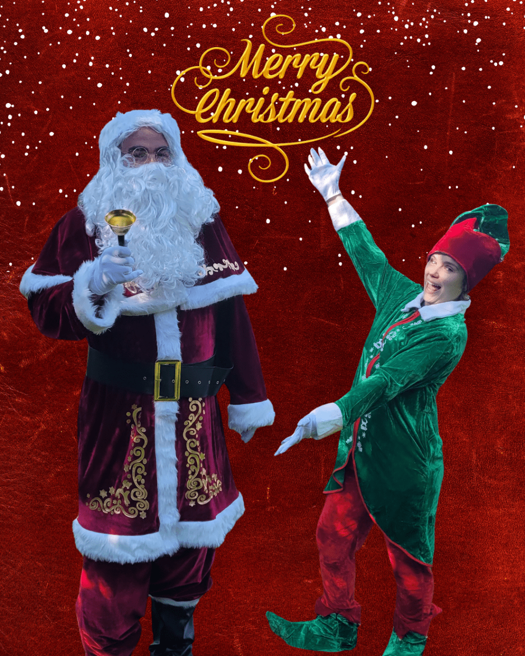 Book A Santa &&nbsp;ELF