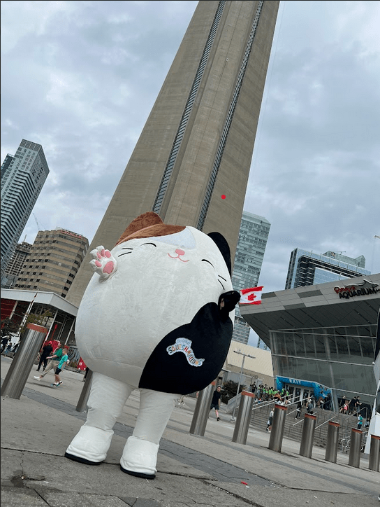 Squishmallow Cam