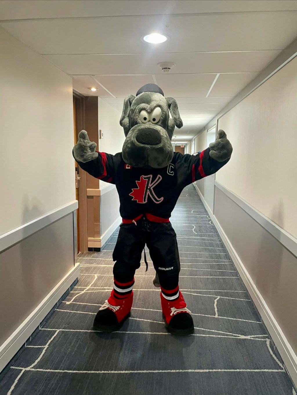 Roscoe, Kick It Up Dance&nbsp;Mascot